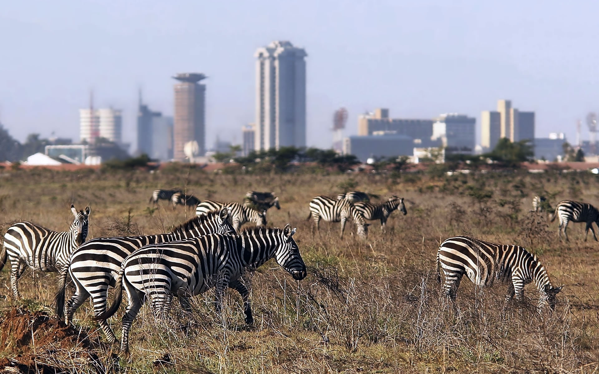 NAIROBI 4.jpg